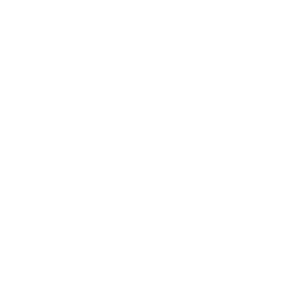 Swiss Flag Cross